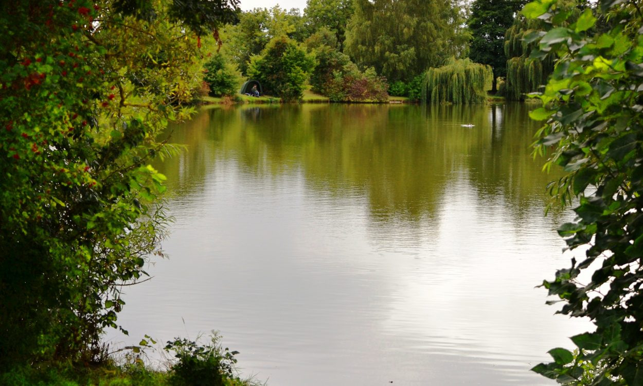 Fisherman2